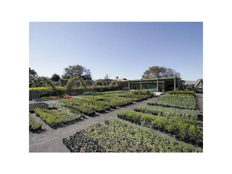 Lot 37 Naroo Tarn, Mclaren Vale SA 5171