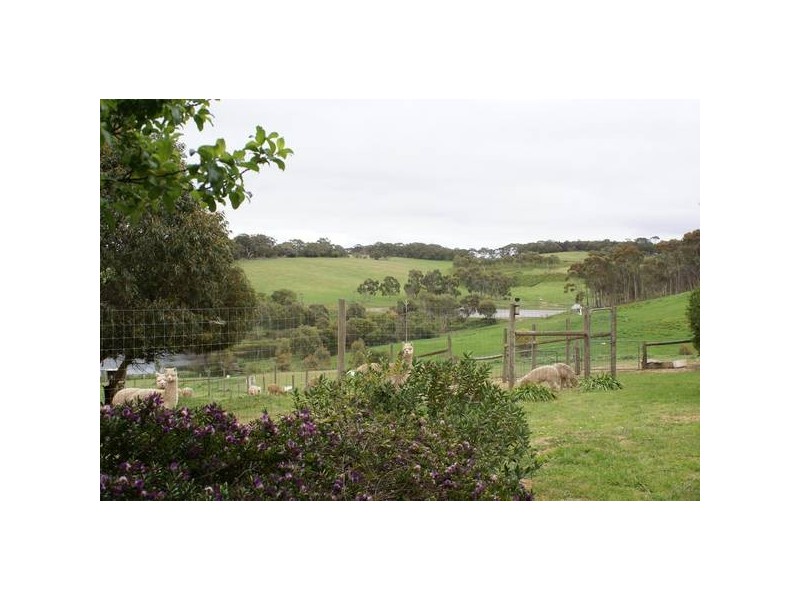 Lot 121 Bevan Road, Hope Forest SA 5172