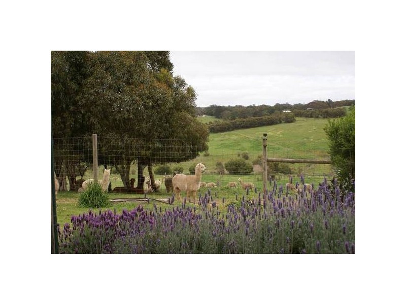 Lot 121 Bevan Road, Hope Forest SA 5172