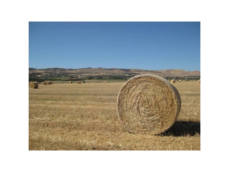 12 Cannes Drive, Sellicks Beach SA 5174