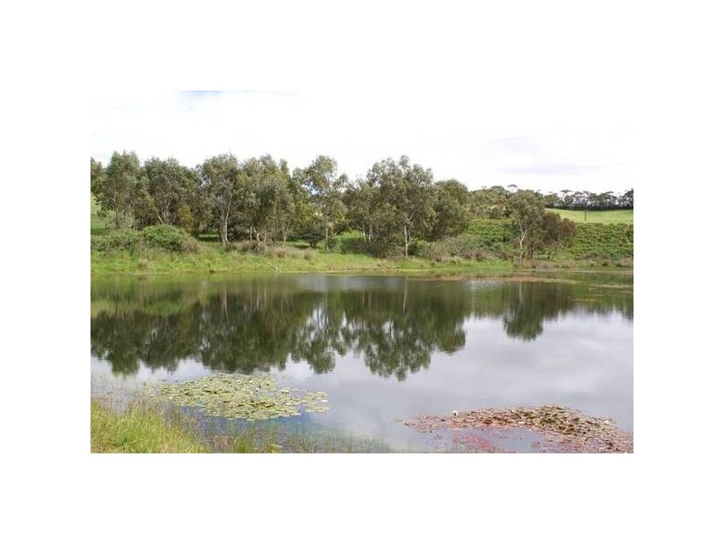 Lot 121 Bevan Road, Willunga SA 5172
