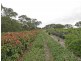 51 Phillips Road, Willunga SA 5172