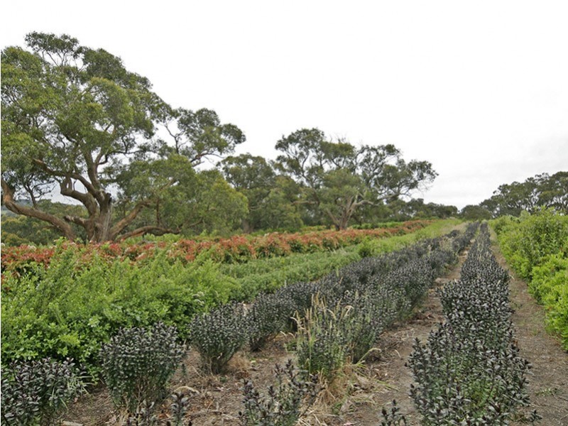 51 Phillips Road, Willunga SA 5172