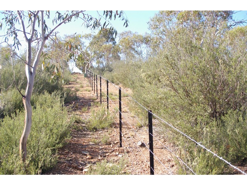 6 Snowy River Way, Dalgety NSW 2628