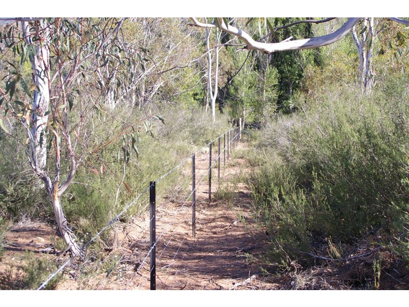 6 Snowy River Way, Dalgety NSW 2628