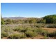 6 Snowy River Way, Dalgety NSW 2628