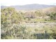 6 Snowy River Way, Dalgety NSW 2628