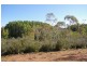 6 Snowy River Way, Dalgety NSW 2628
