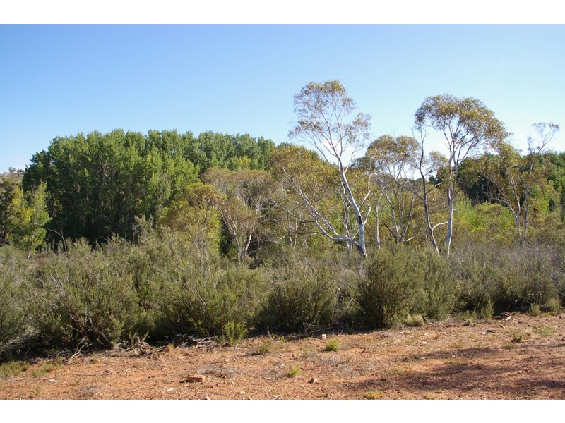 6 Snowy River Way, Dalgety NSW 2628