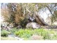 30 O’Brien Avenue, Berridale NSW 2628