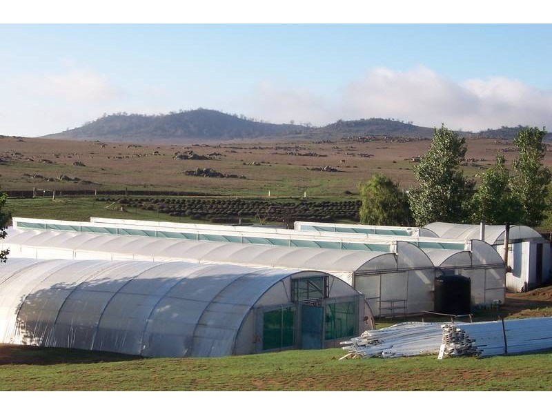 272 Blackburn Creek Road, Dalgety NSW 2628