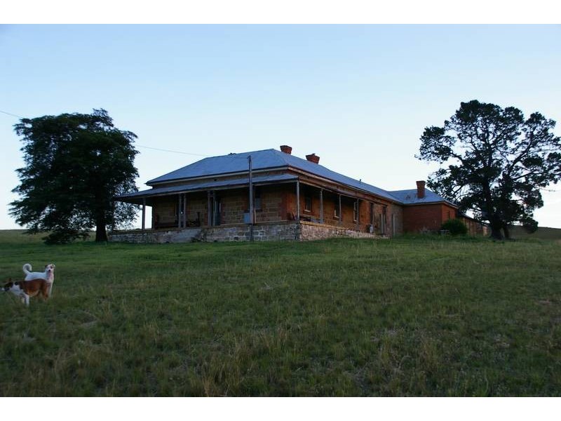 Lot 162, 1 Hamilton Street, Dalgety NSW 2628