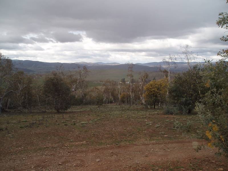Lot 32, 753 Caddigat Road, Adaminaby NSW 2629
