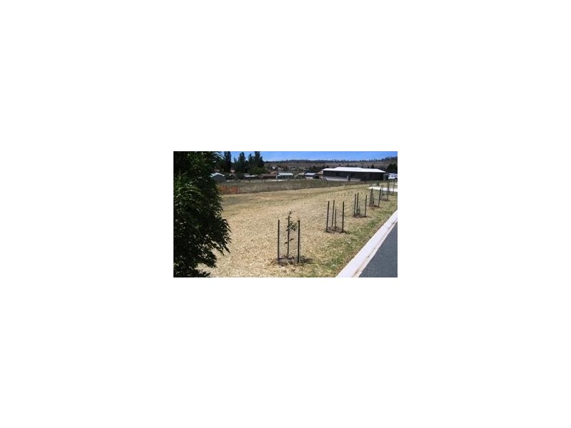 Lot 22, 36 Roberson Street, Berridale NSW 2628