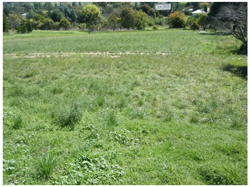 3 O’Brien Avenue, Berridale NSW 2628