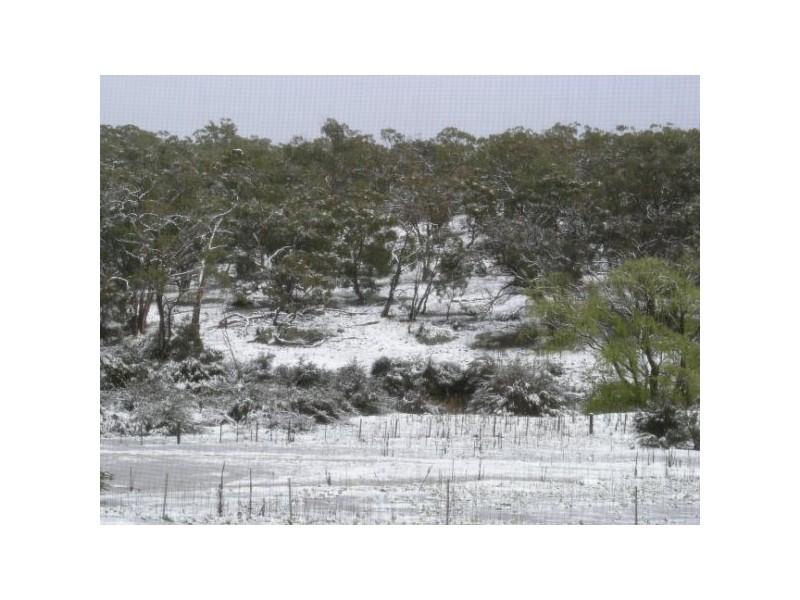 Lot 93,94,156, 4743 Snowy River Way, Dalgety NSW 2628