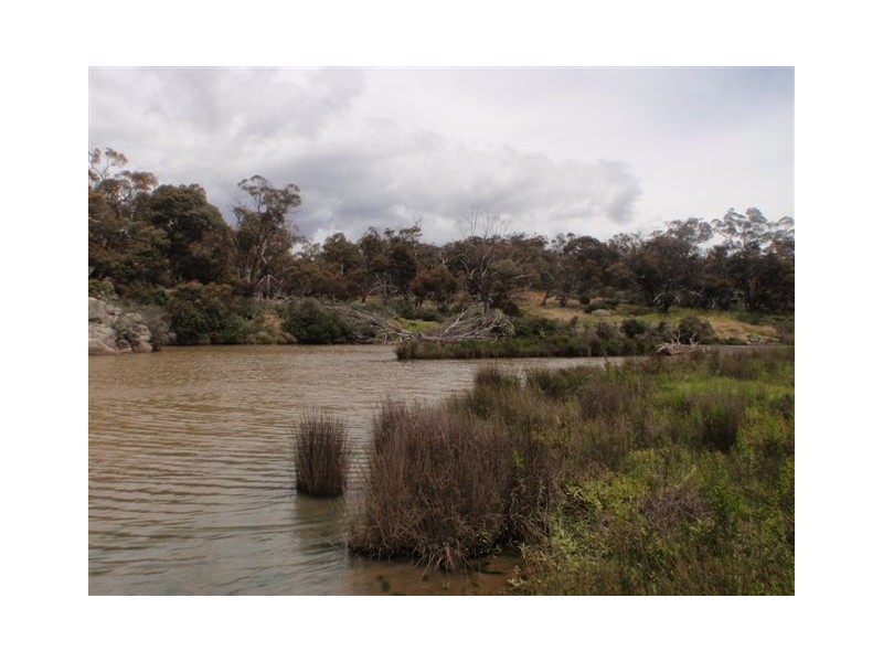 Lot 93,94,156, 4743 Snowy River Way, Dalgety NSW 2628