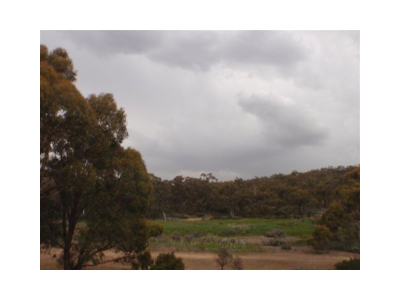 Lot 93,94,156, 4743 Snowy River Way, Dalgety NSW 2628