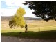 Illawong Road, Anglers Reach NSW 2629