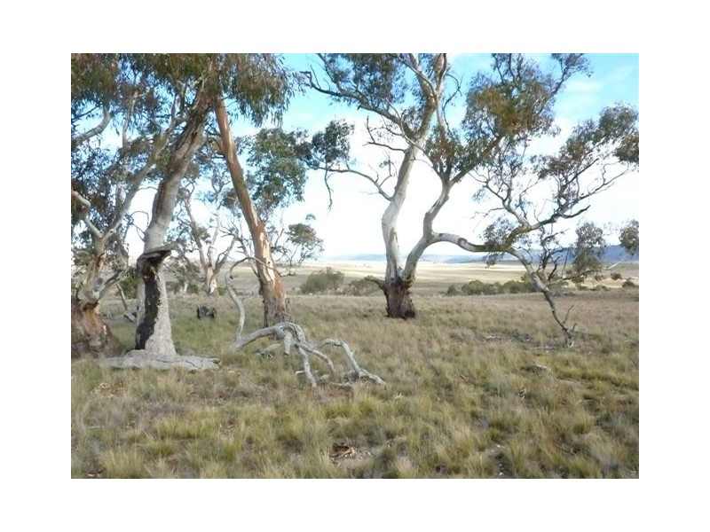 Wolfram Road, Berridale NSW 2628