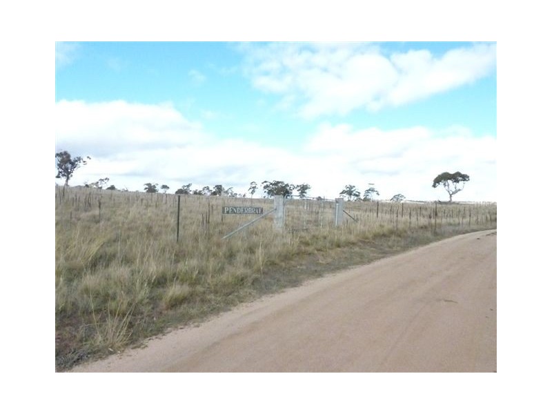 Wolfram Road, Berridale NSW 2628