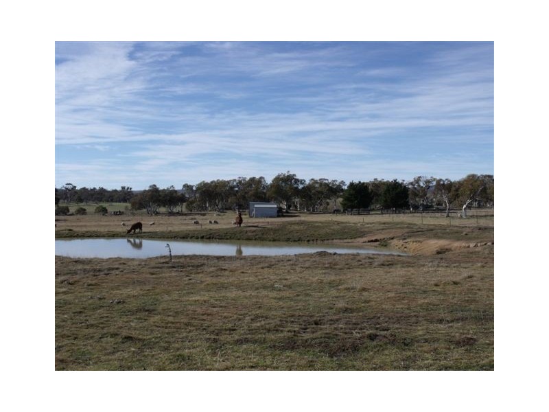 90 Old Adaminaby Road, Adaminaby NSW 2629