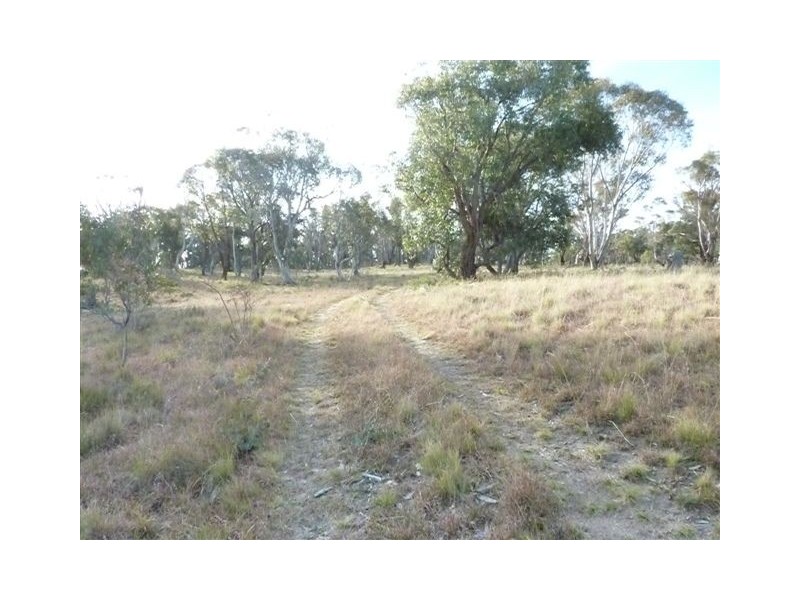 Lot 2, 1369 Middlingbank Road, Berridale NSW 2628