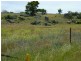 25 O’Brien Avenue, Berridale NSW 2628