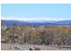 400 Dalgety Road, Berridale NSW 2628