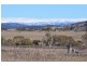 400 Dalgety Road, Berridale NSW 2628