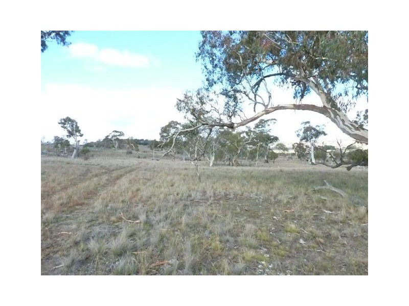 Lot 1, Wolfram Road, Berridale NSW 2628