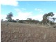 Lot 1, Wolfram Road, Berridale NSW 2628