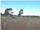 Lot 1, Wolfram Road, Berridale NSW 2628