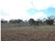 Lot 1, Wolfram Road, Berridale NSW 2628