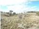 Lot 1, Wolfram Road, Berridale NSW 2628