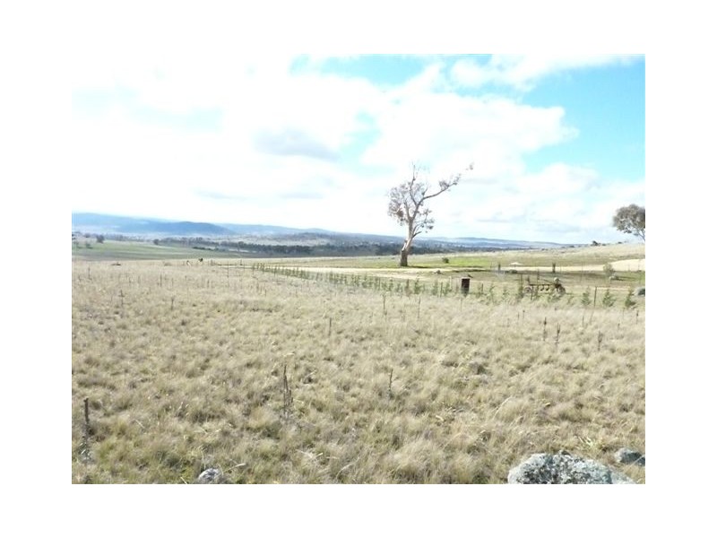 Lot 1, Wolfram Road, Berridale NSW 2628