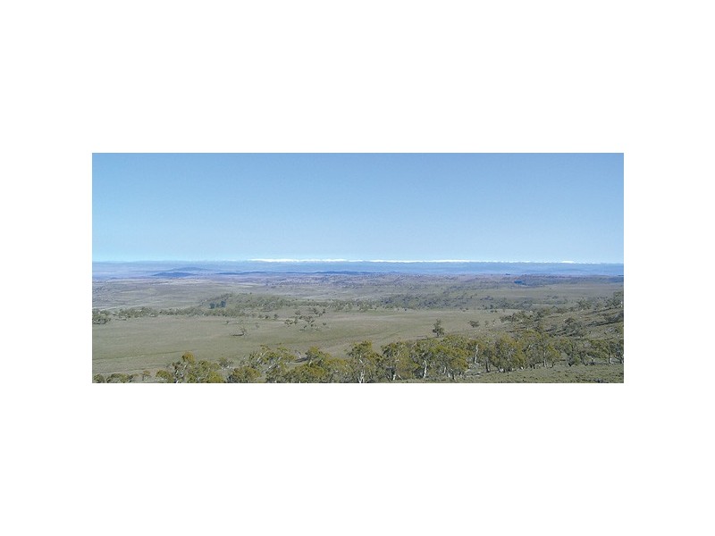 43 Bombala Street, Nimmitabel NSW 2631