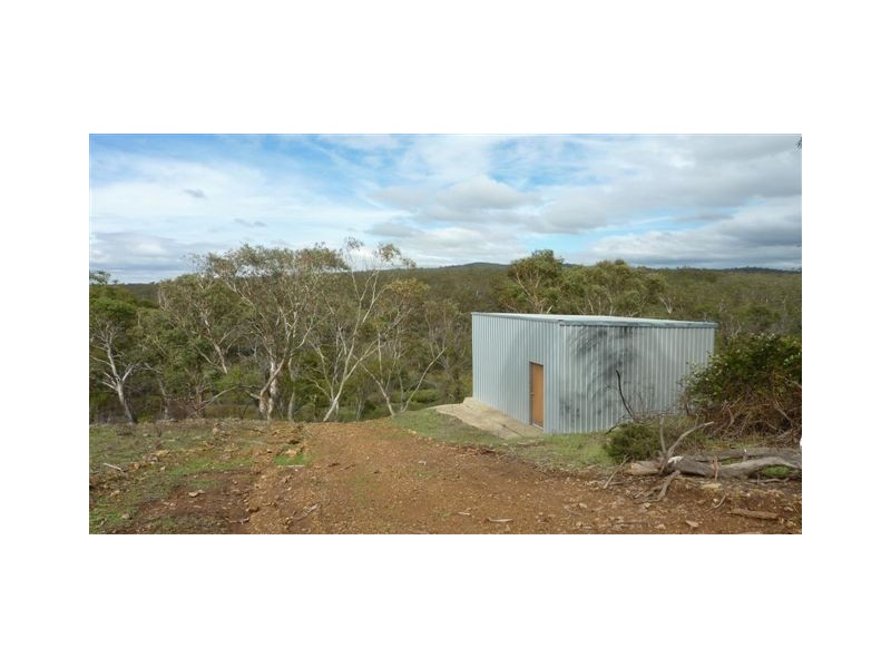 253 Werralong Road, Dalgety NSW 2628