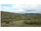 253 Werralong Road, Dalgety NSW 2628