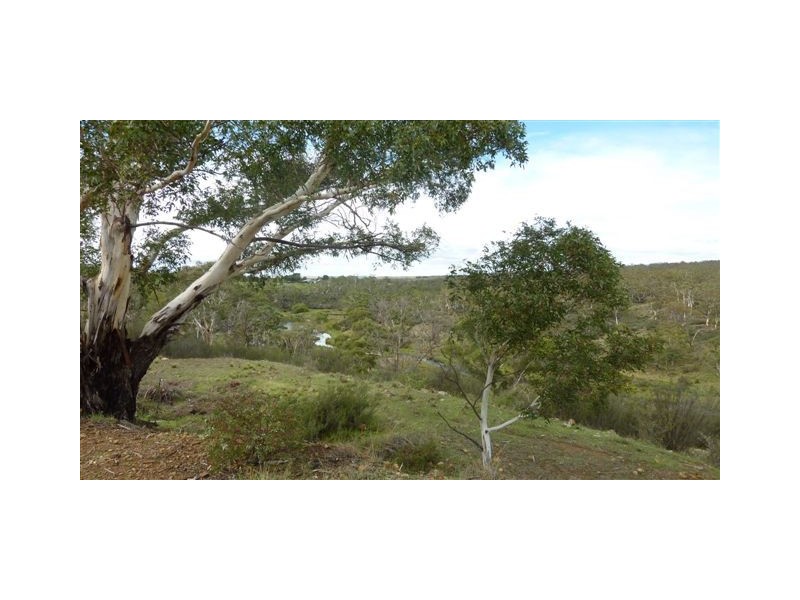 253 Werralong Road, Dalgety NSW 2628