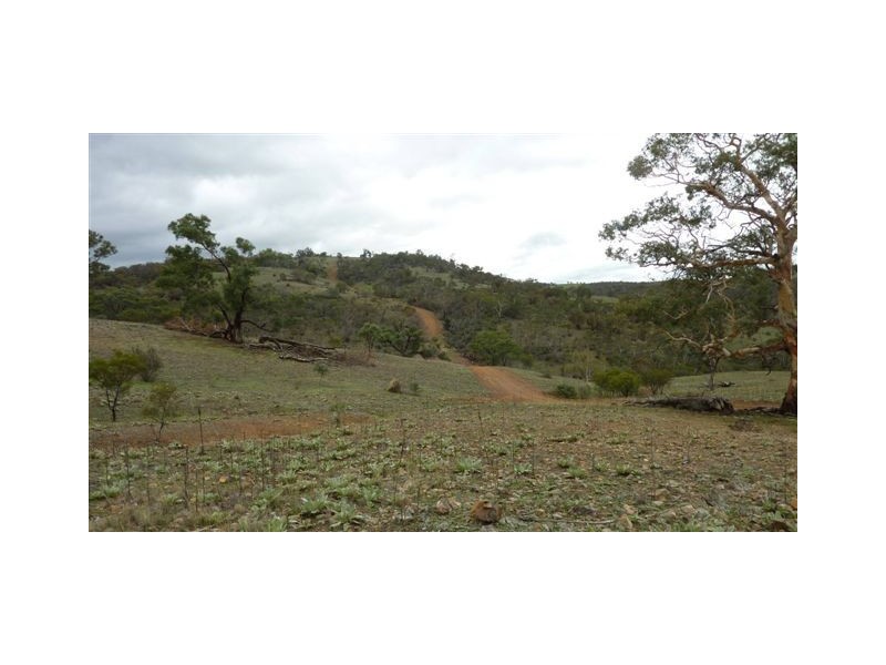 253 Werralong Road, Dalgety NSW 2628