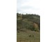 253 Werralong Road, Dalgety NSW 2628