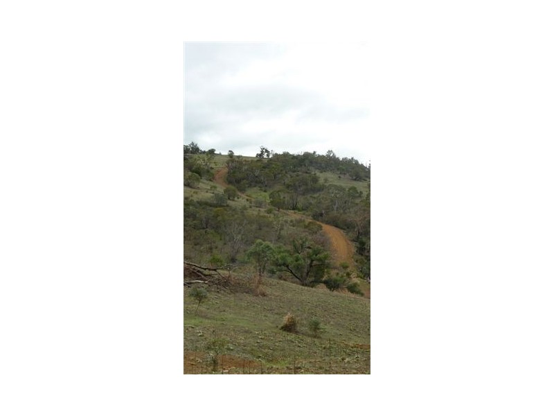 253 Werralong Road, Dalgety NSW 2628