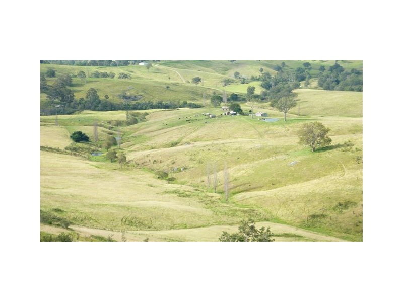 99999 Barretts Road, Bemboka NSW 2550