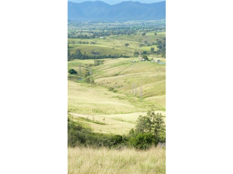 99999 Barretts Road, Bemboka NSW 2550