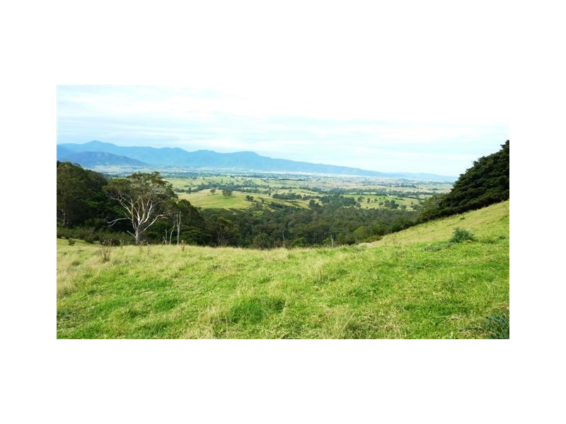 99999 Barretts Road, Bemboka NSW 2550