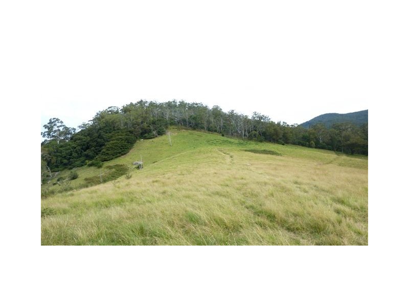 99999 Barretts Road, Bemboka NSW 2550