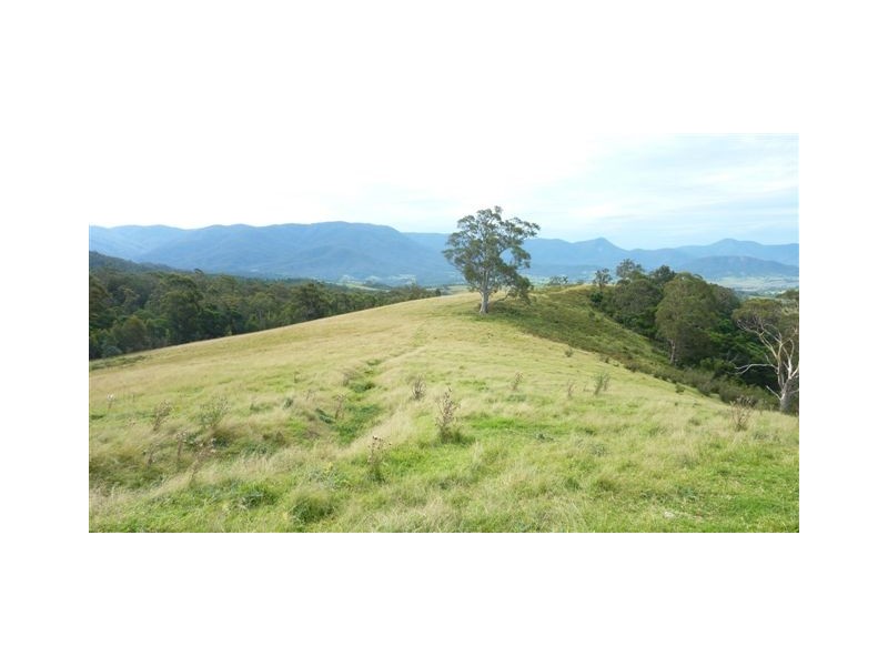 99999 Barretts Road, Bemboka NSW 2550