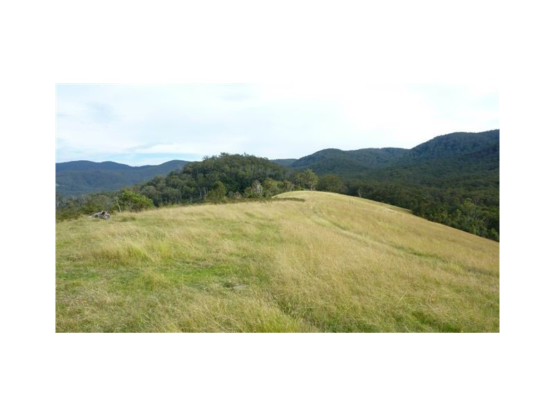 99999 Barretts Road, Bemboka NSW 2550