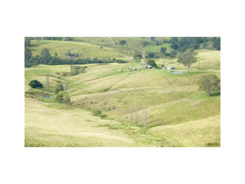 99999 Barretts Road, Bemboka NSW 2550